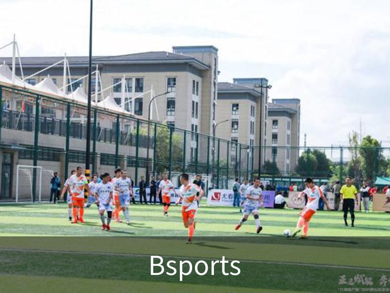 Bsports概况